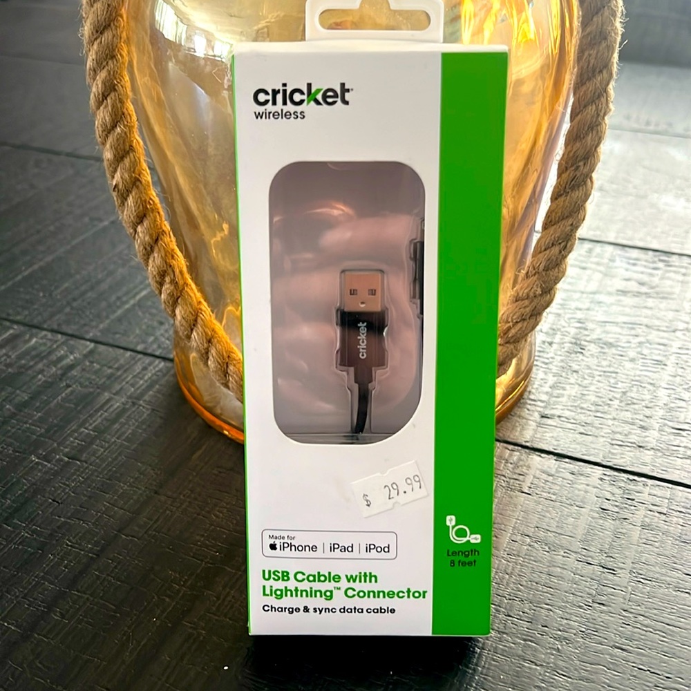 NWT in Box USB Cable with lightning Connector Charge & Sync 8Feet IPhone IPad